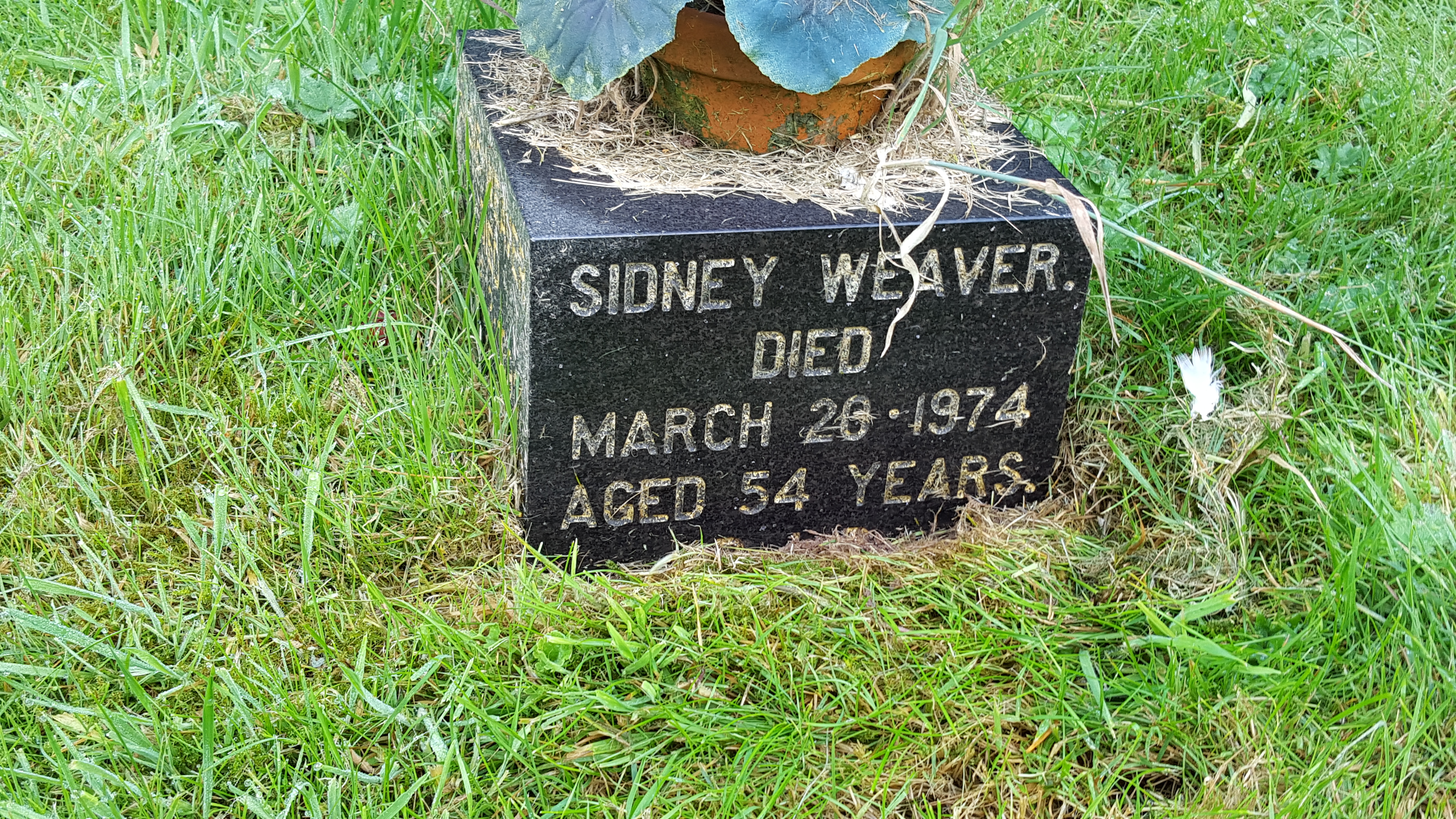 Tombstones/Sidney & Elsie Weaver Beckbury.jpg